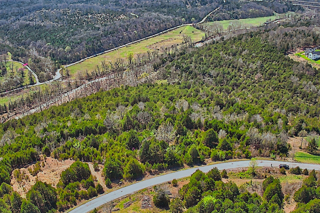 000 Mills Hollow Road Property Photo 18