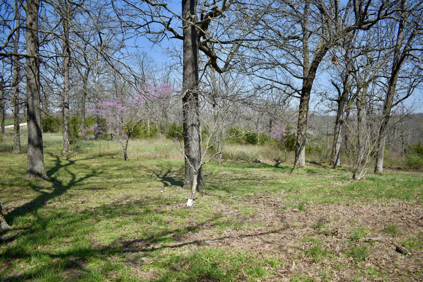70 Dallion Ford Lane Property Photo 23