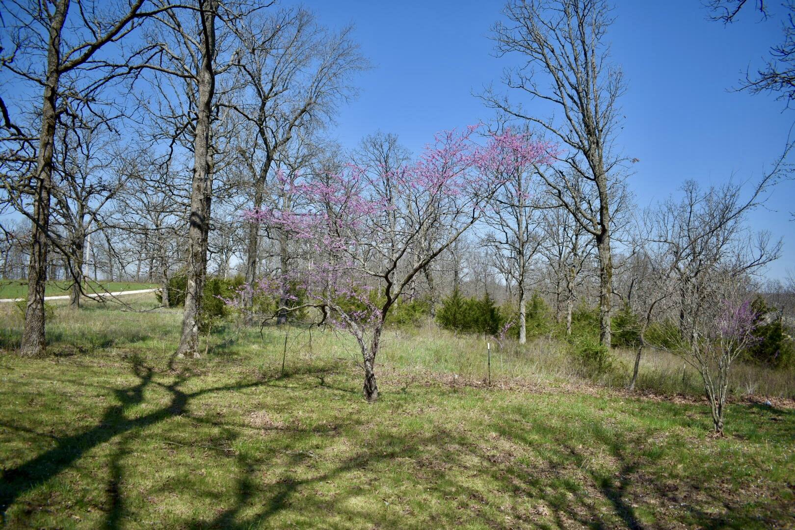 70 Dallion Ford Lane Property Photo 24