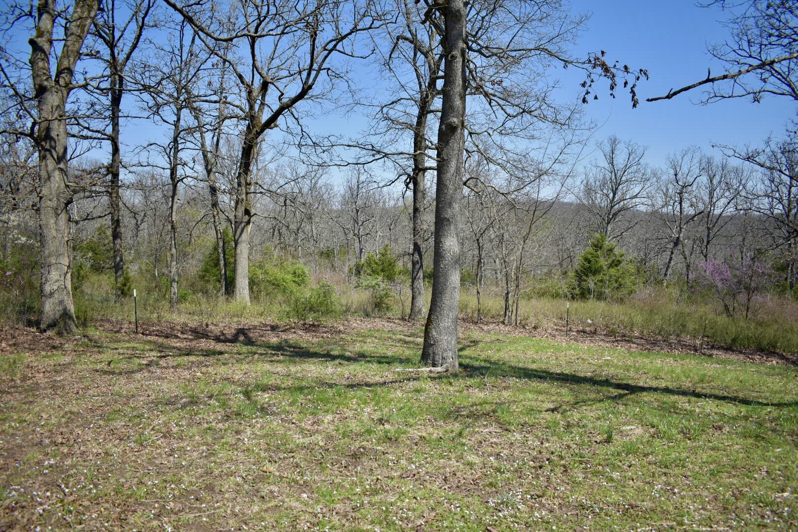 70 Dallion Ford Lane Property Photo 27