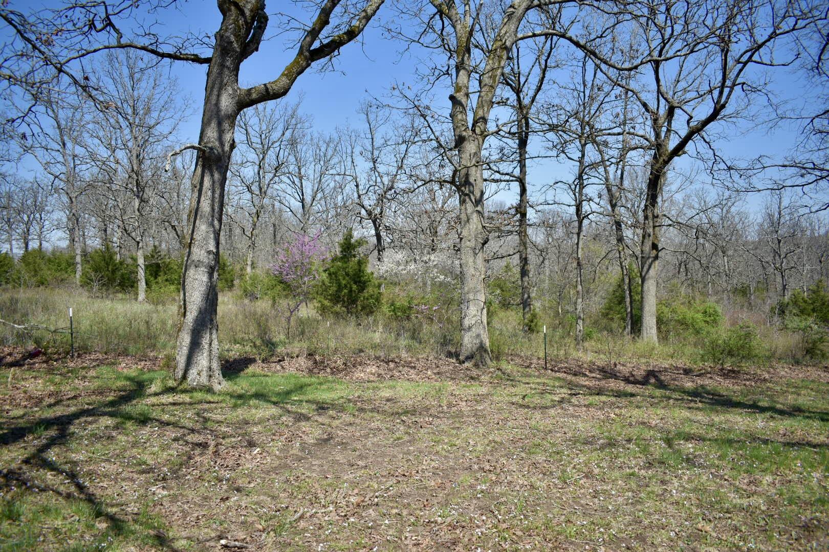 70 Dallion Ford Lane Property Photo 28