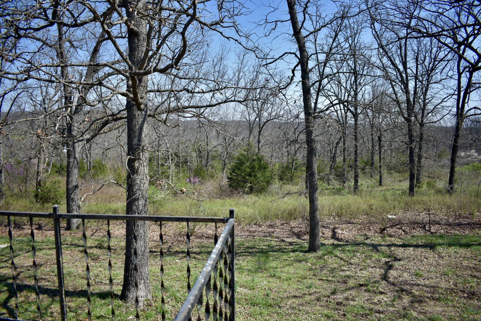 70 Dallion Ford Lane Property Photo 34