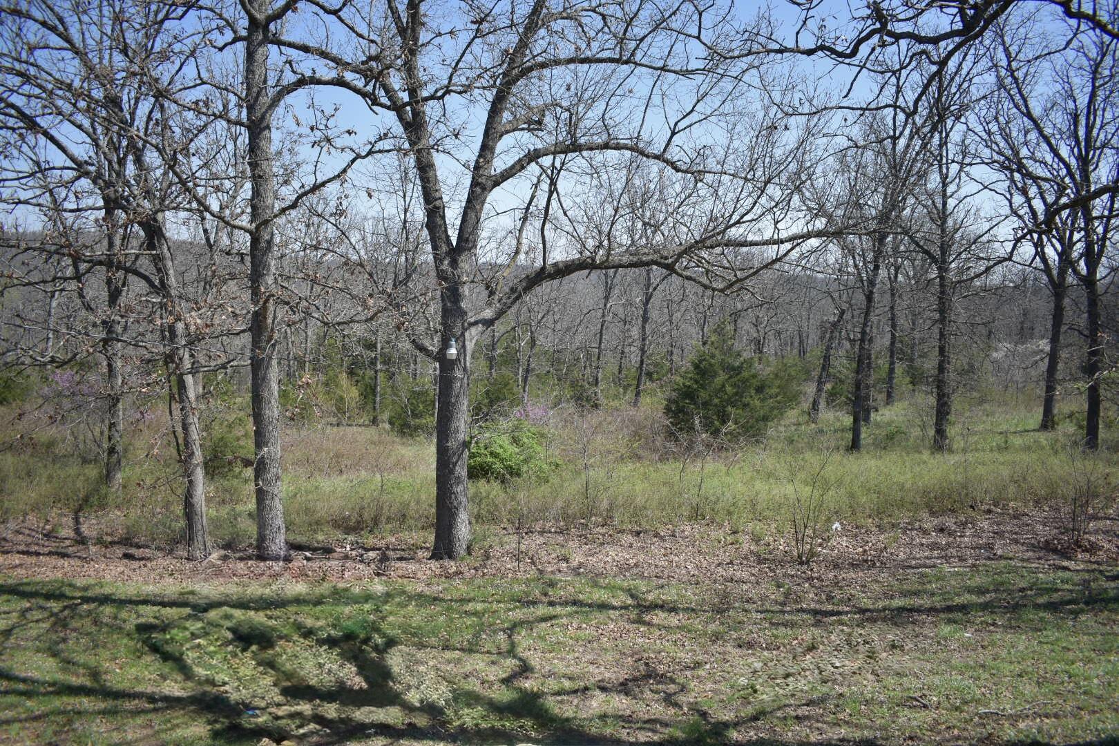 70 Dallion Ford Lane Property Photo 37