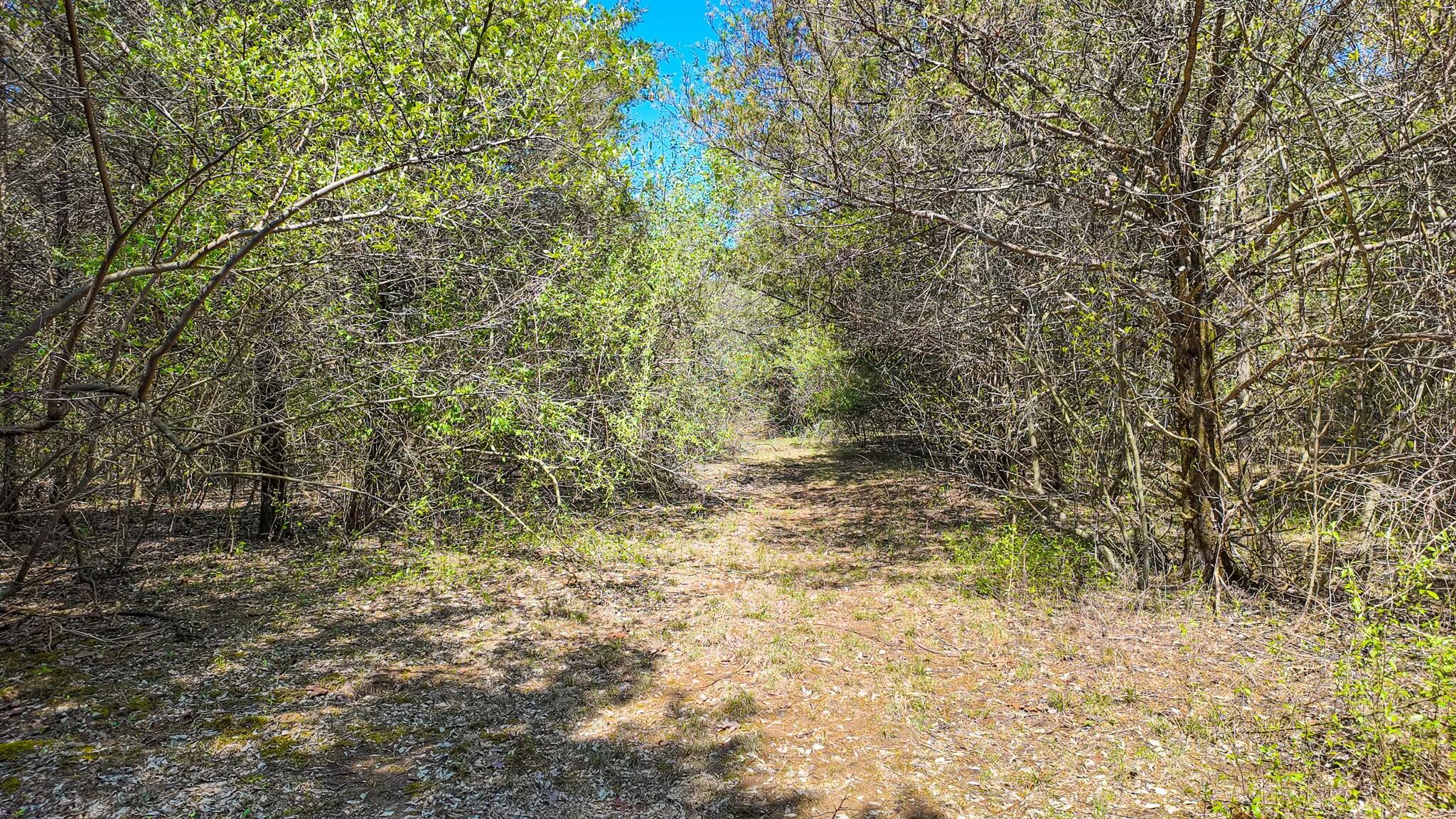 19769 Cr 270 Property Photo 32