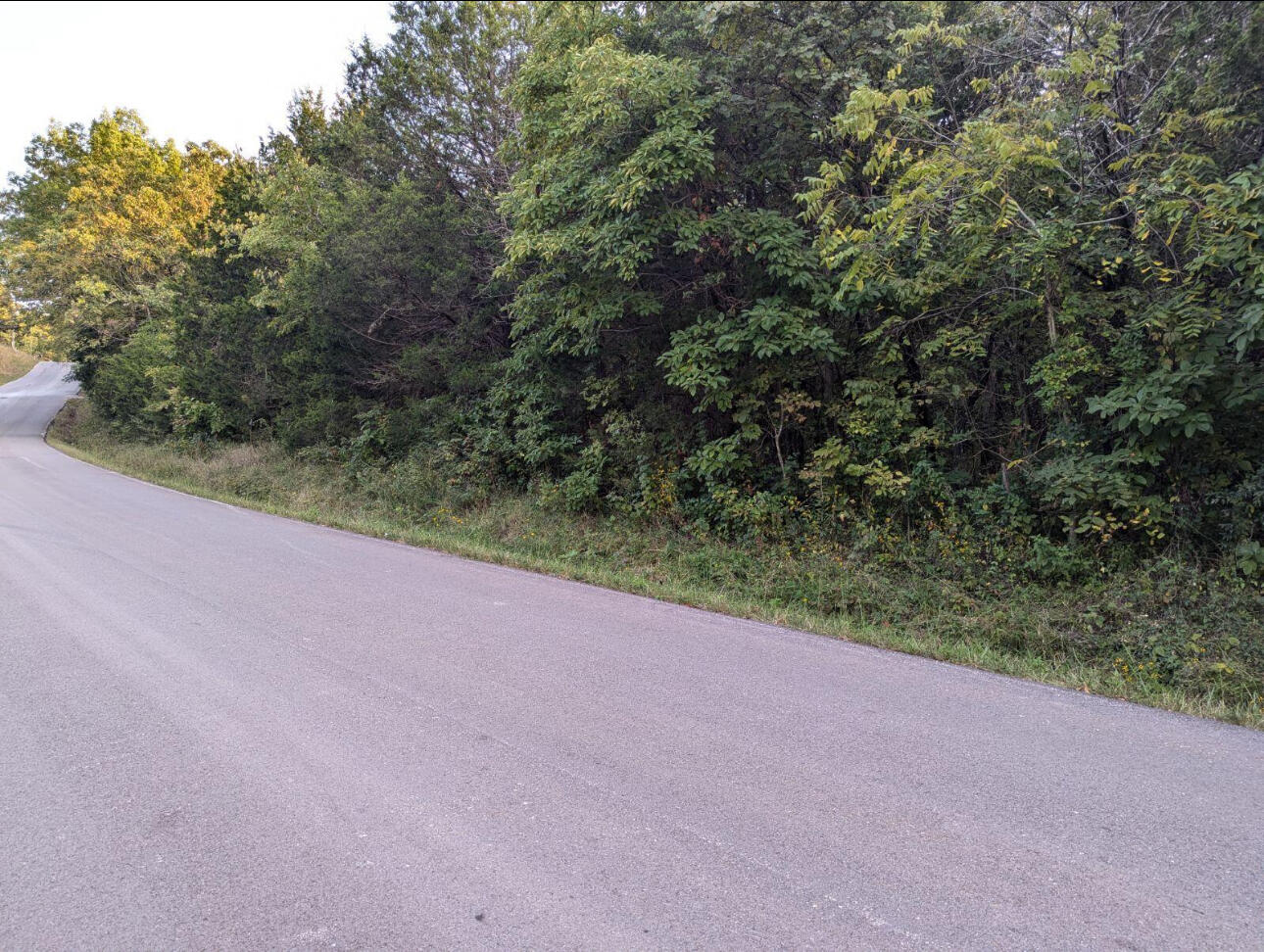 000 Grier Branch Road Property Photo 1