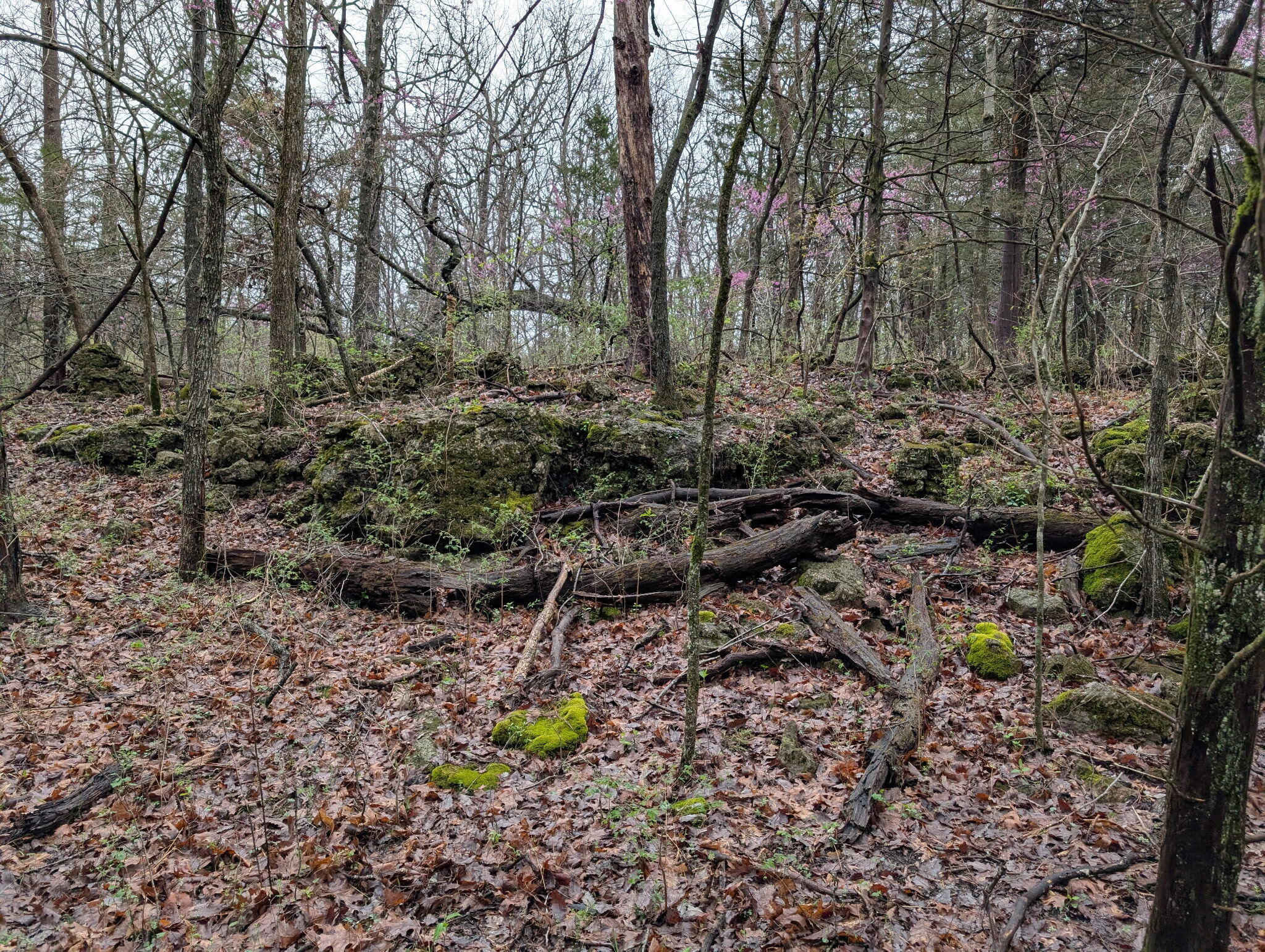 000 Grier Branch Road Property Photo 8