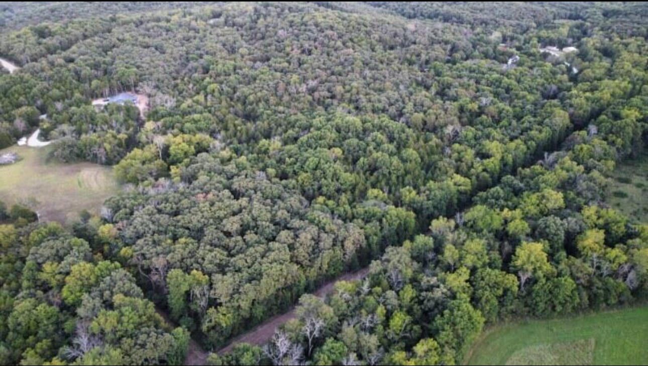 000 Grier Branch Road Property Photo 11