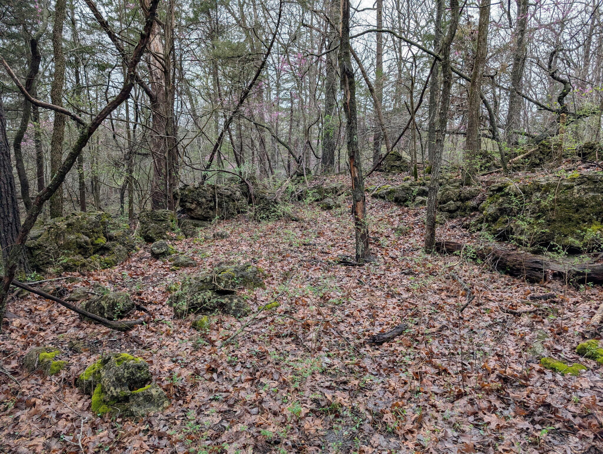 000 Grier Branch Lot 1 Road Property Photo 1