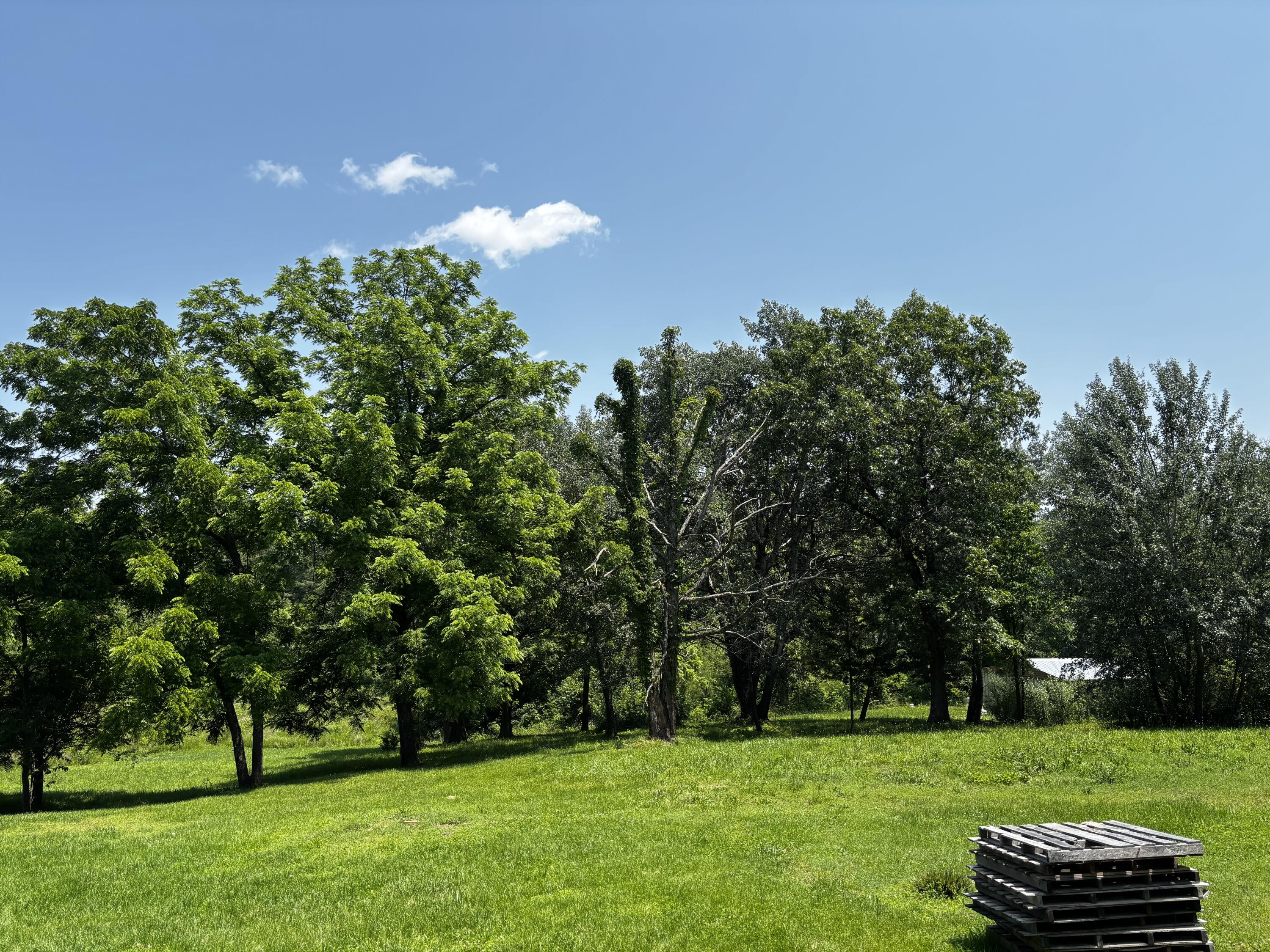 1879 Sawmill Road Property Photo 6