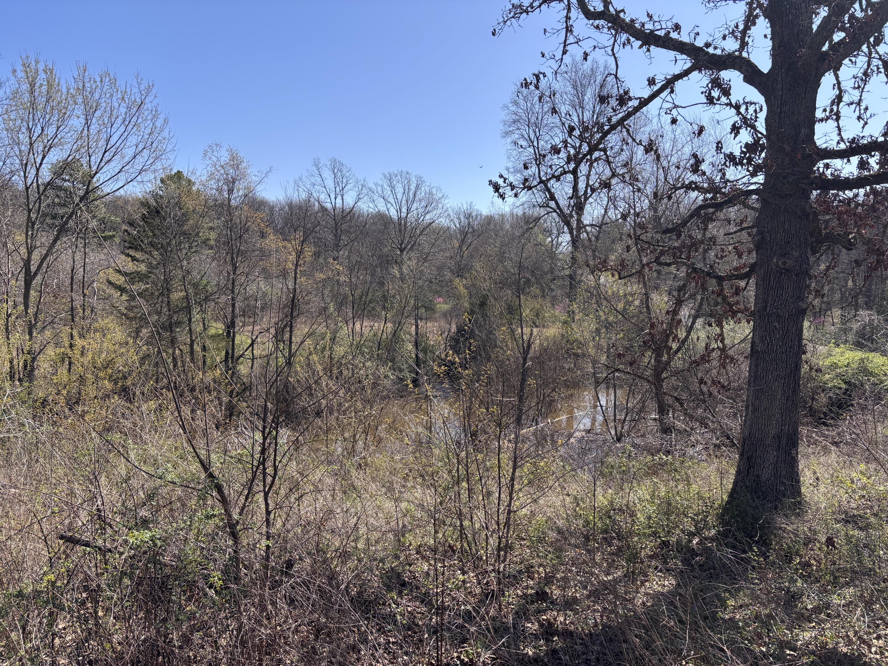 1879 Sawmill Road Property Photo 21
