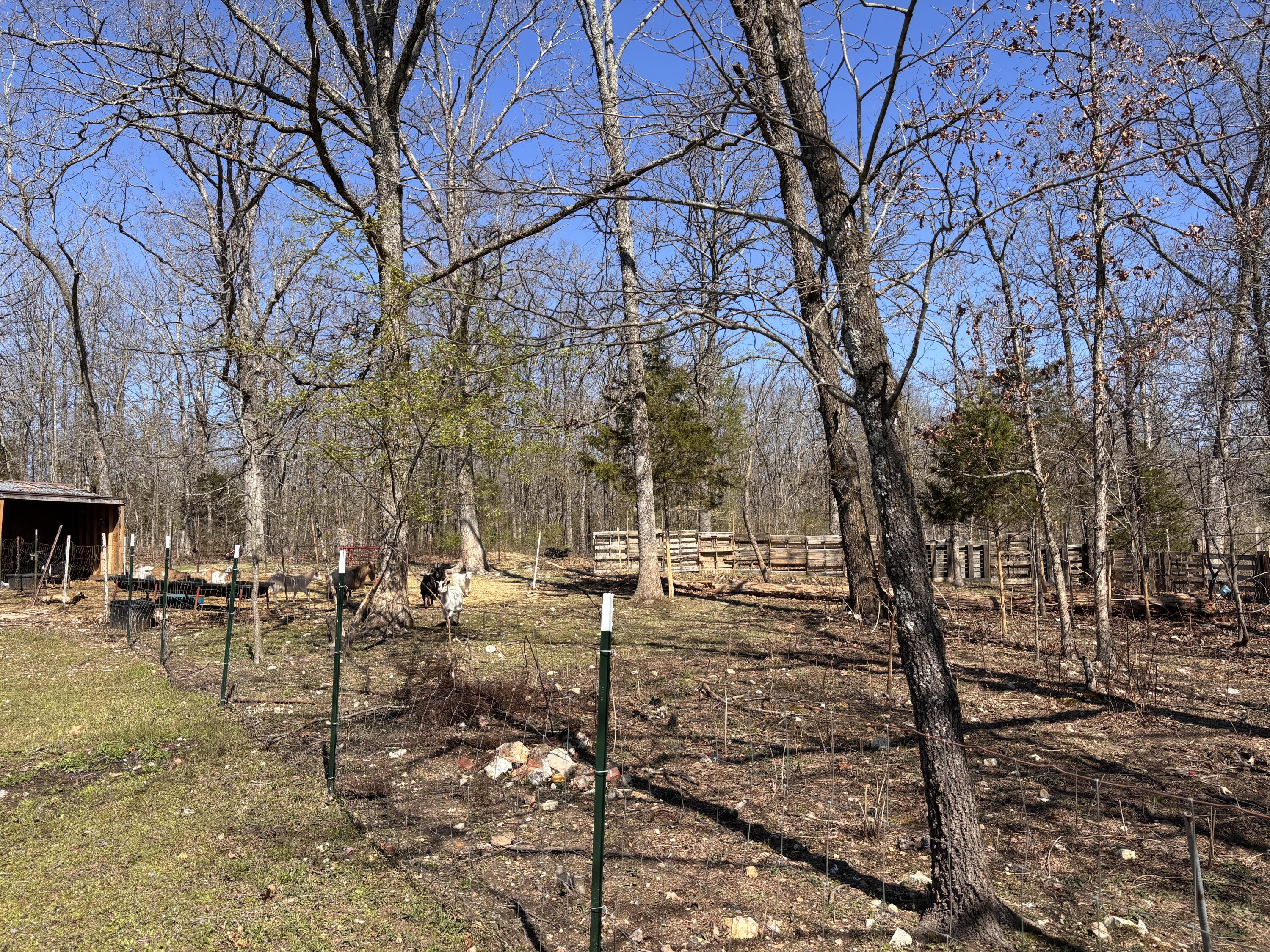 1879 Sawmill Road Property Photo 29