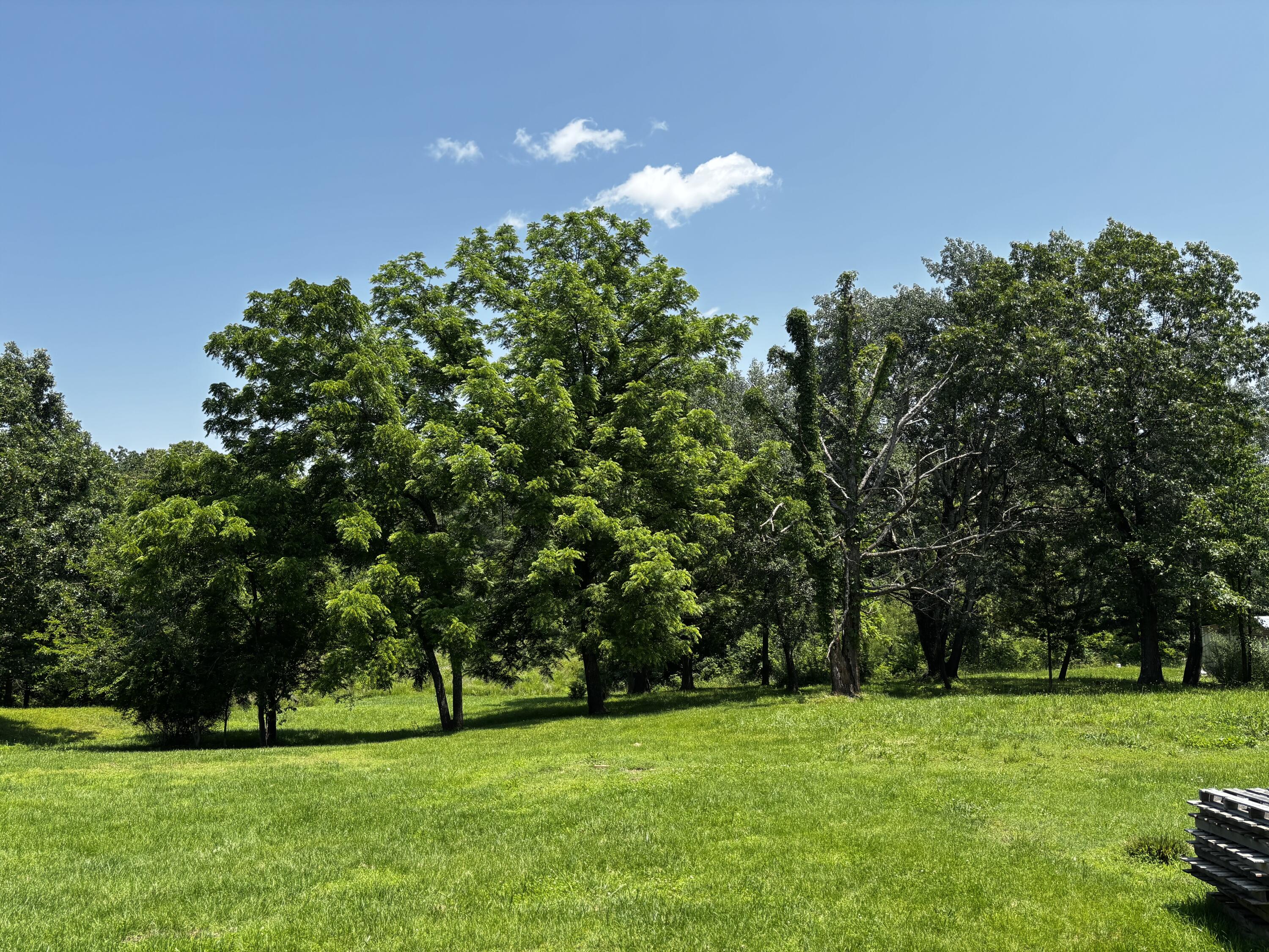 1879 Sawmill Road Property Photo 35