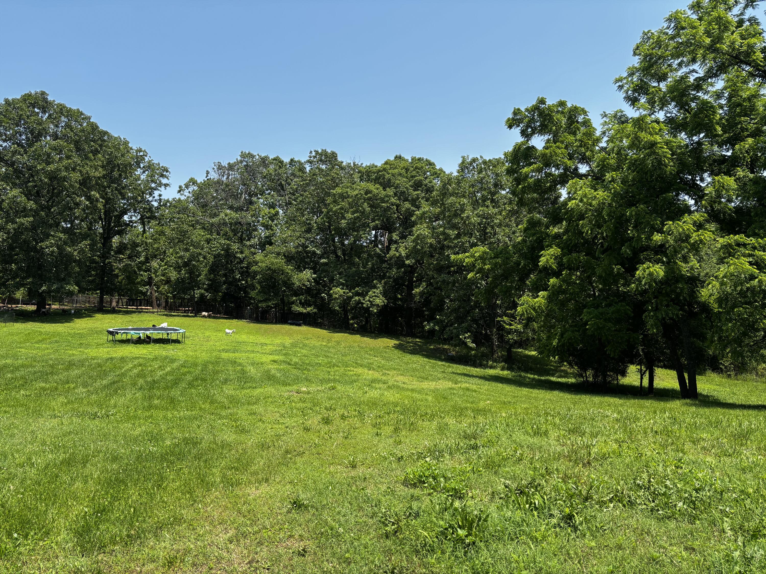 1879 Sawmill Road Property Photo 37