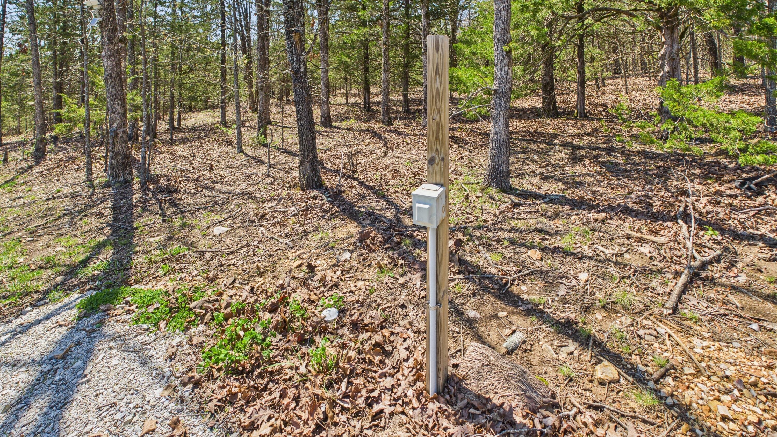 5963 Highway 17 Property Photo 39
