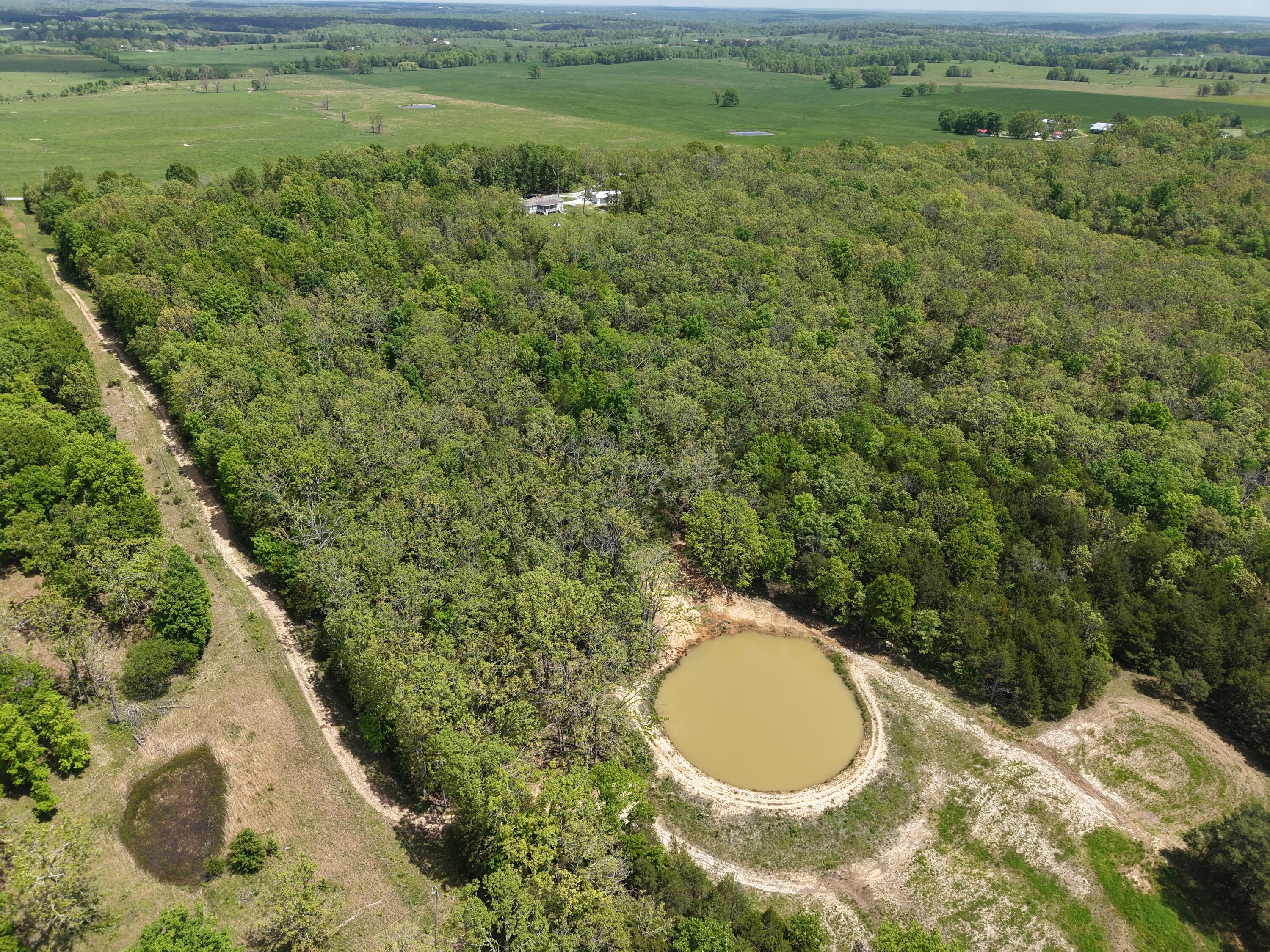 5963 Highway 17 Property Photo 41