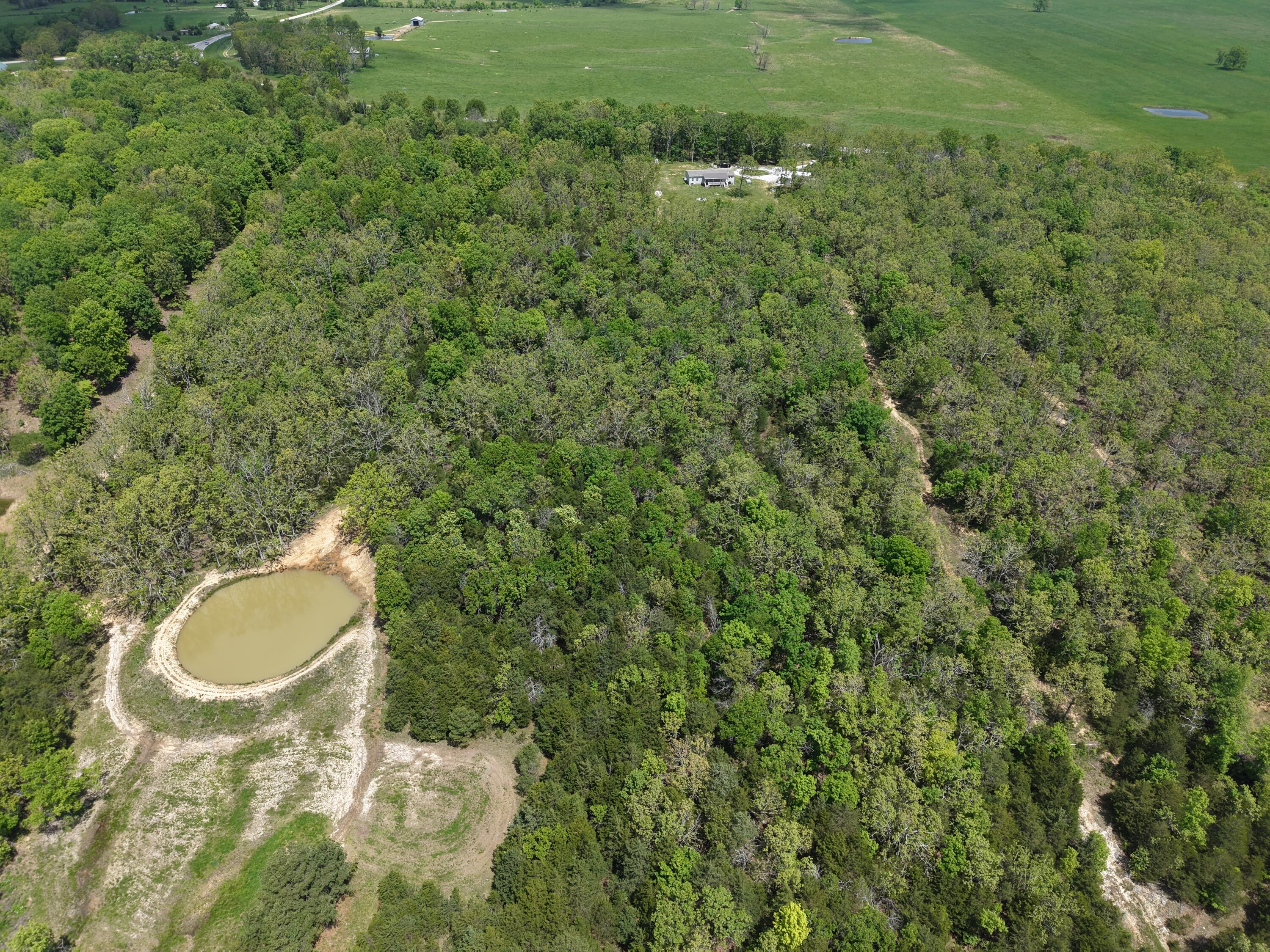 5963 Highway 17 Property Photo 42