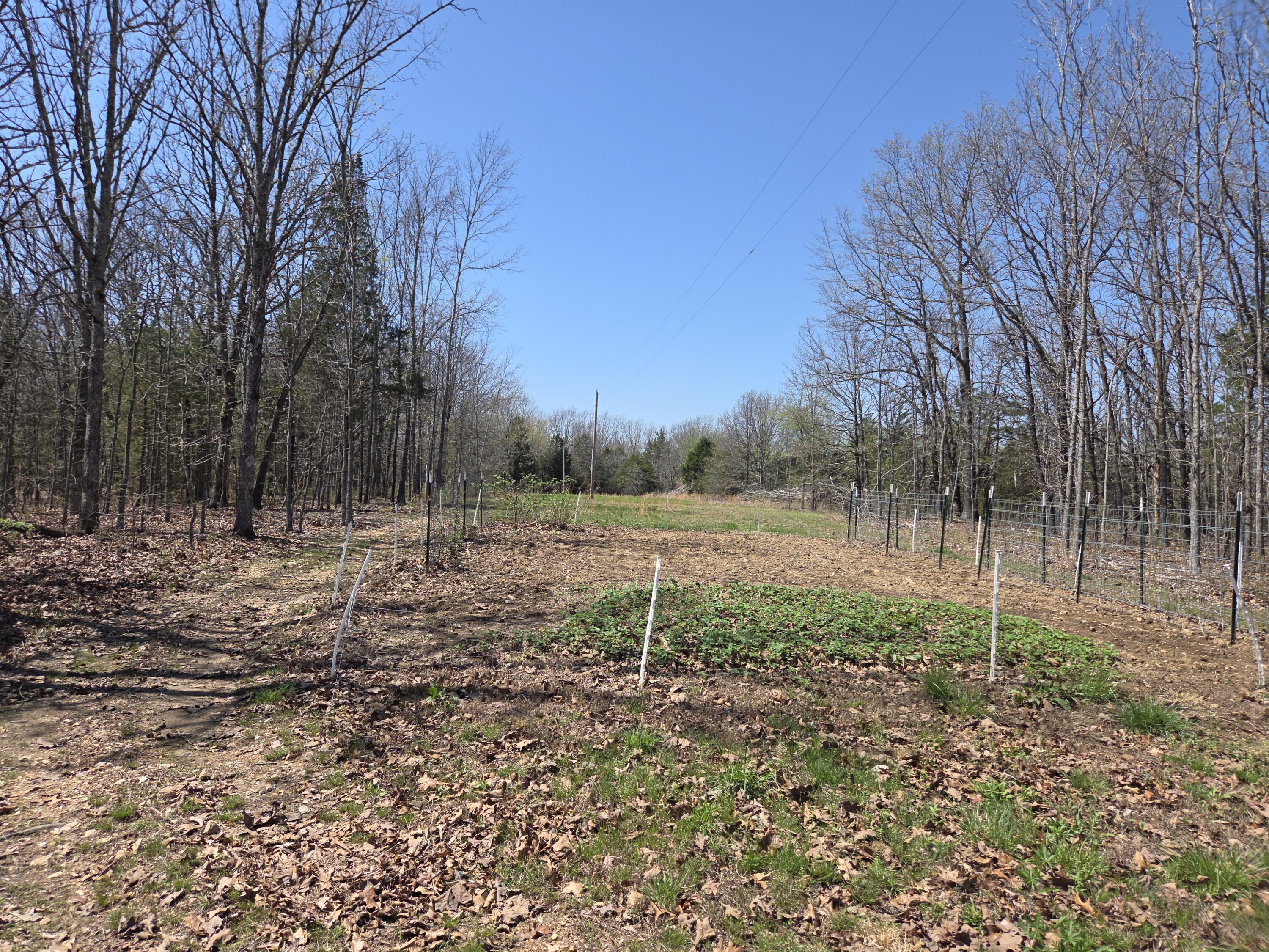 5963 Highway 17 Property Photo 43