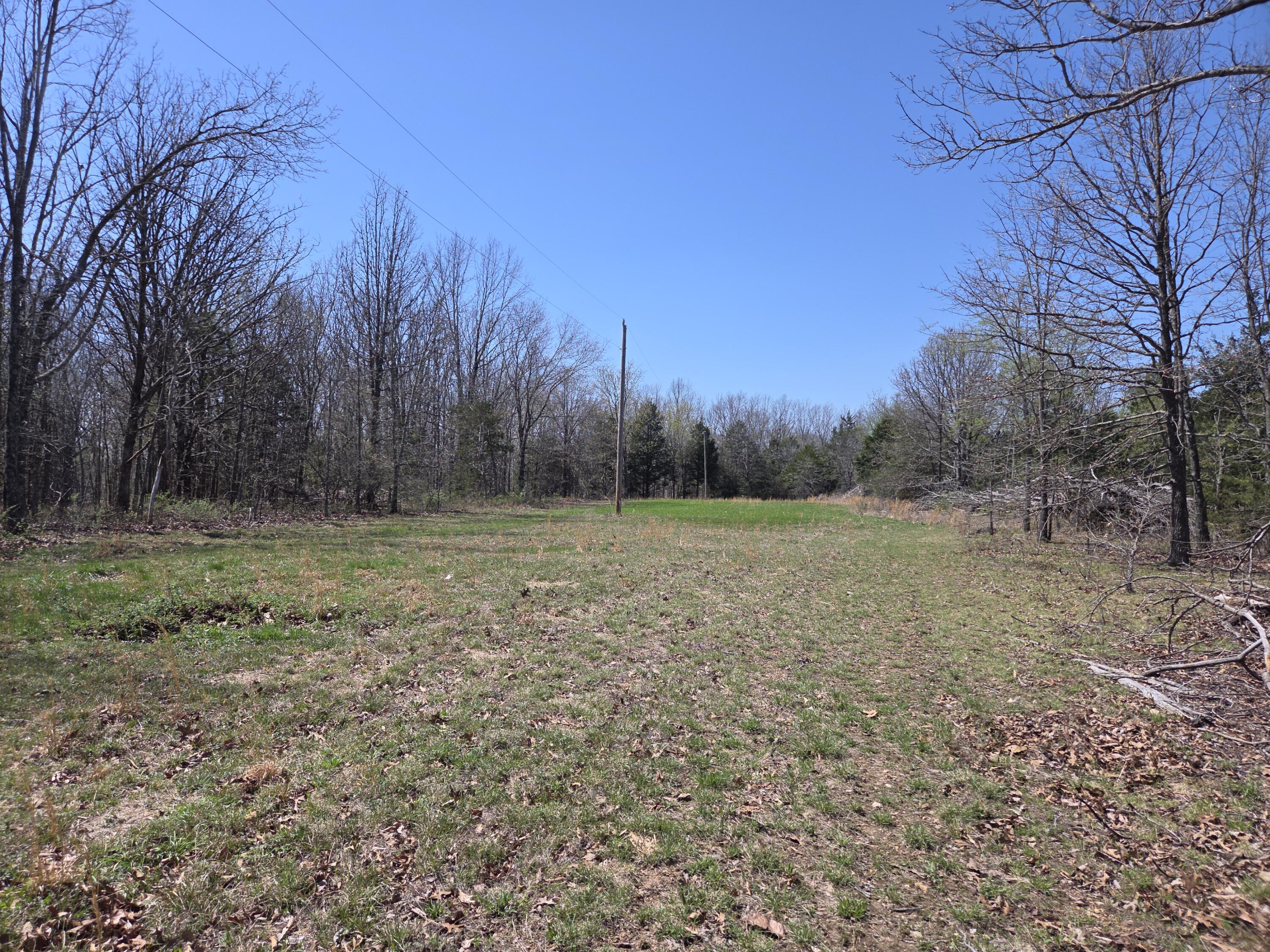 5963 Highway 17 Property Photo 44
