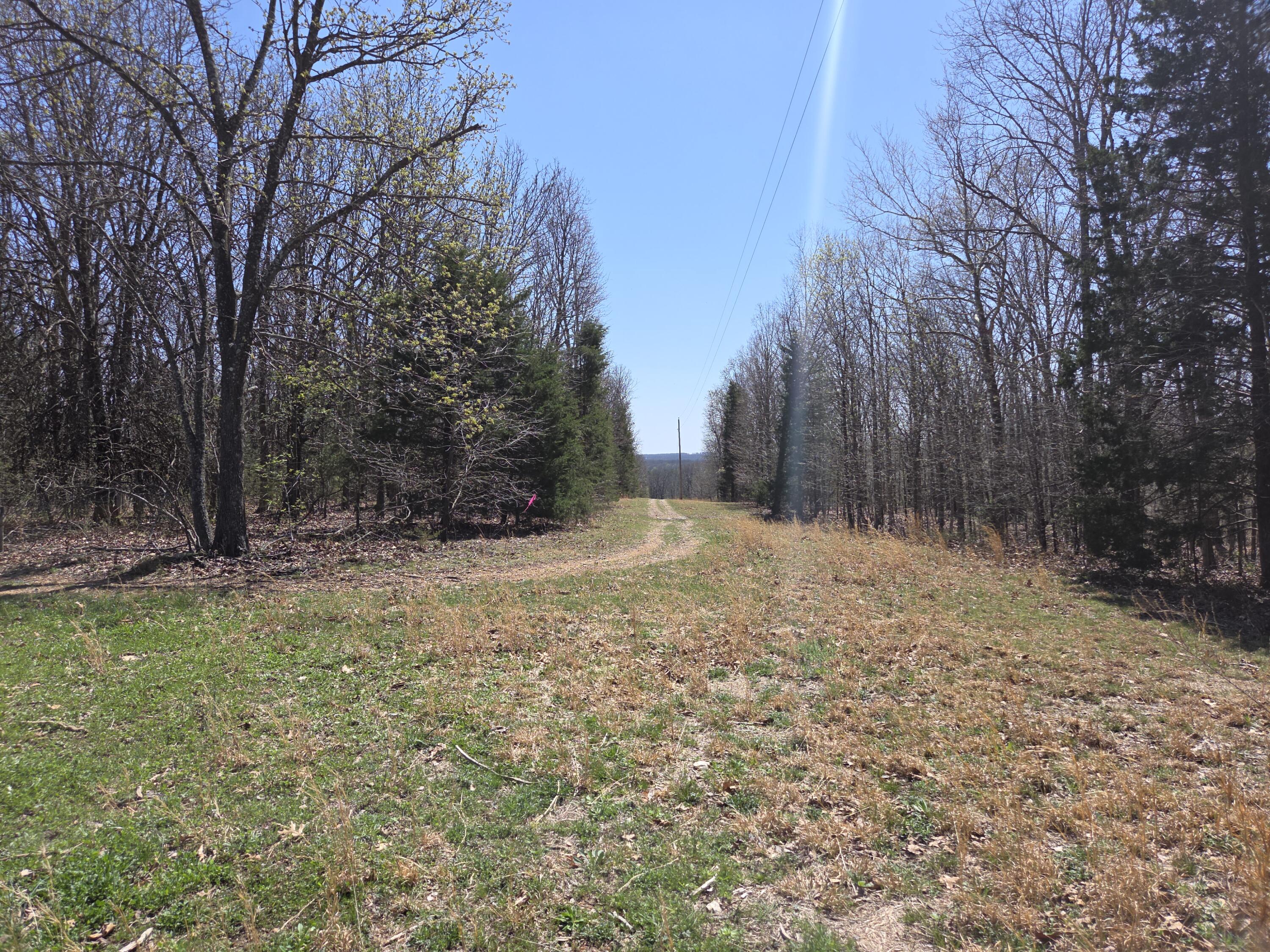 5963 Highway 17 Property Photo 45