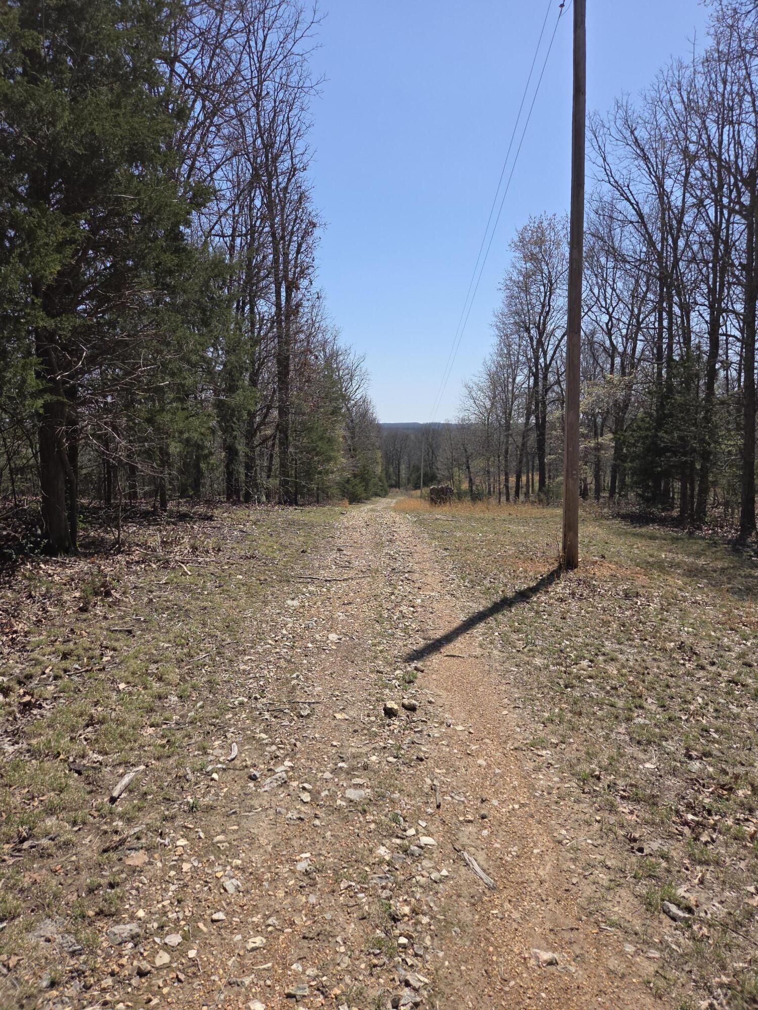 5963 Highway 17 Property Photo 46
