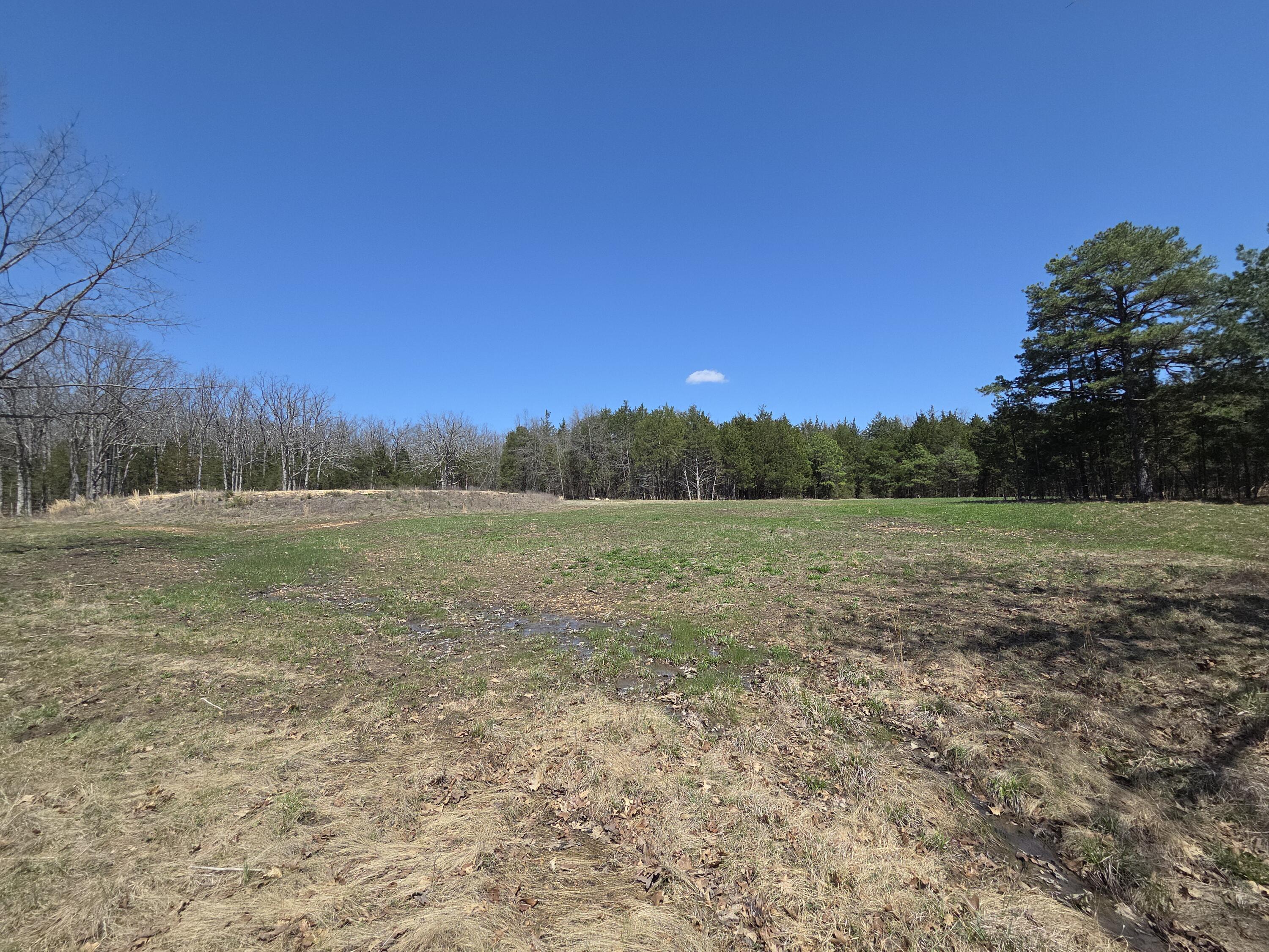 5963 Highway 17 Property Photo 47