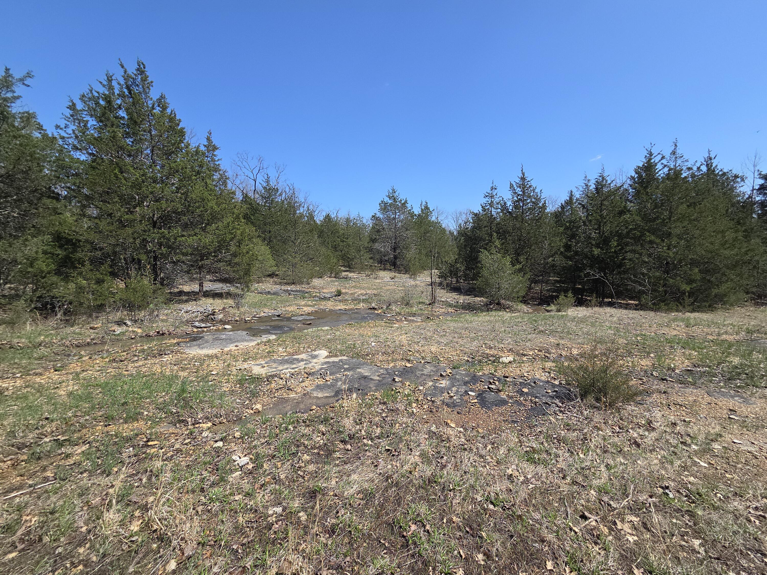 5963 Highway 17 Property Photo 48