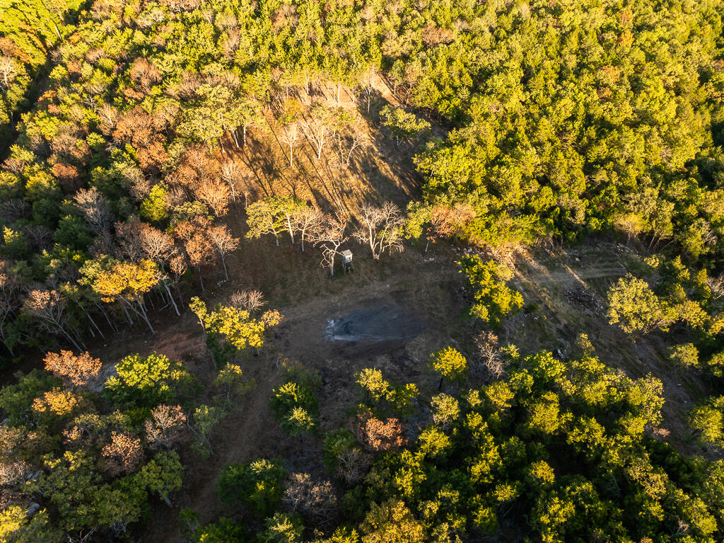 000 Highway 13 Property Photo 6