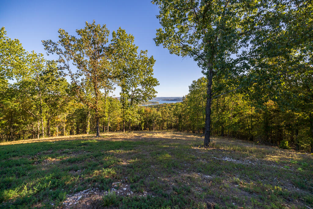 000 Highway 13 Property Photo 33