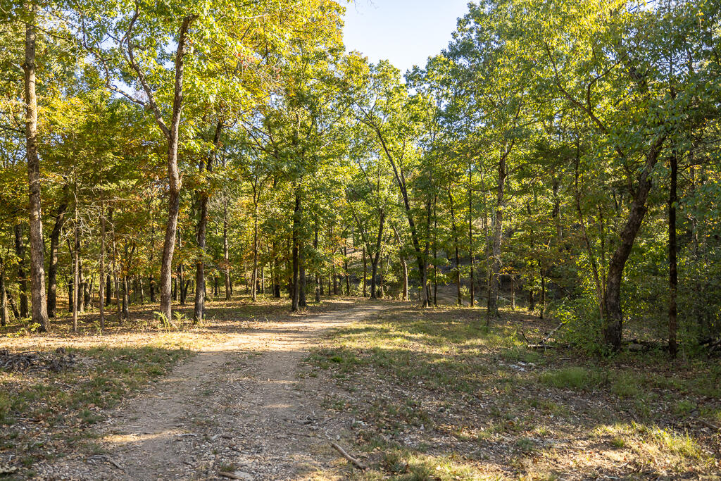 000 Highway 13 Property Photo 43
