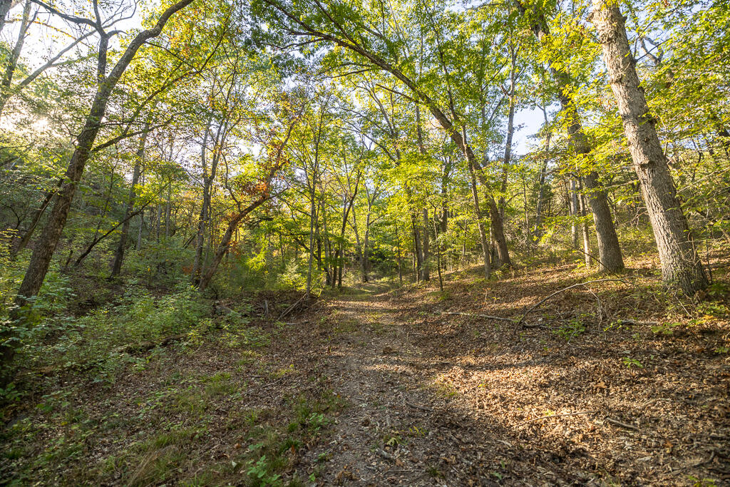 000 Highway 13 Property Photo 44