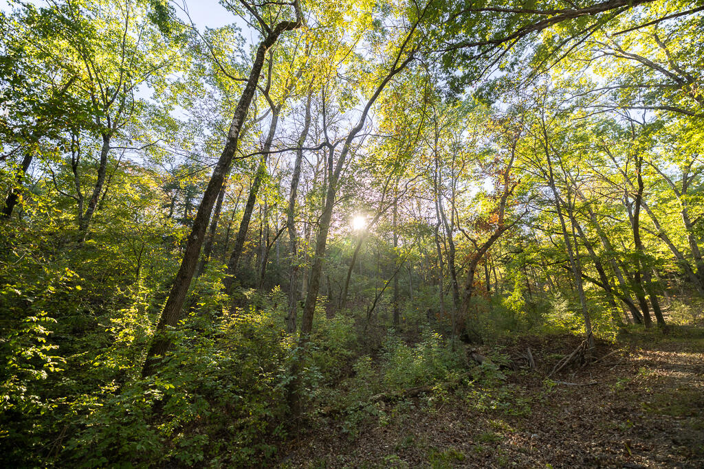 000 Highway 13 Property Photo 45