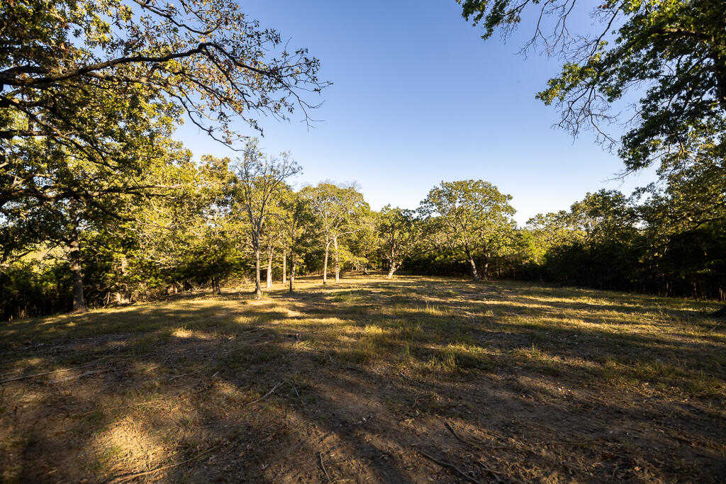 000 Highway 13 Property Photo 50