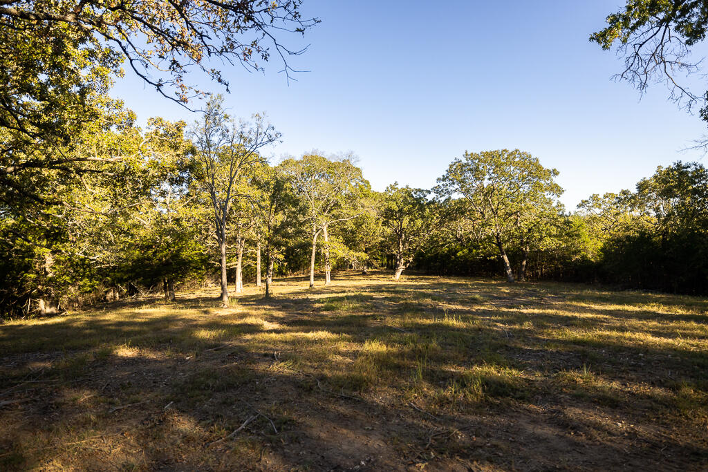 000 Highway 13 Property Photo 51