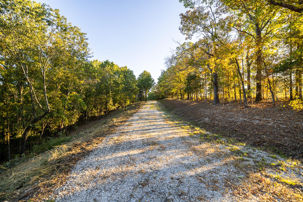 000 Highway 13 Property Photo 52