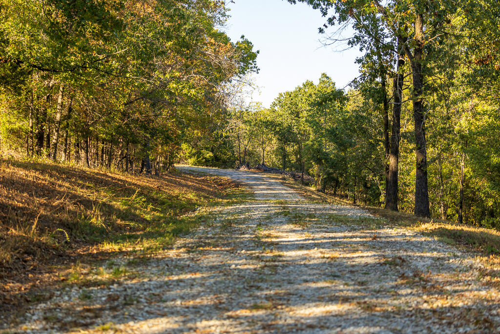 000 Highway 13 Property Photo 53