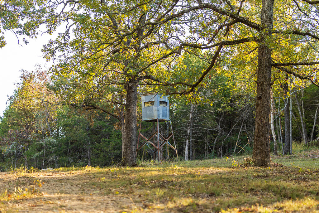 000 Highway 13 Property Photo 58