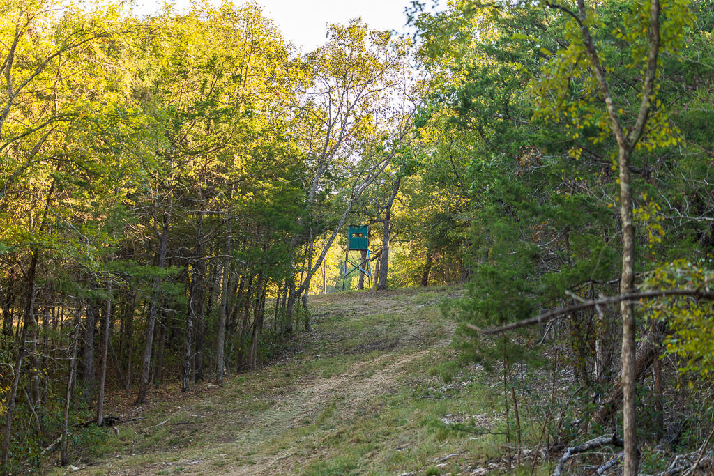 000 Highway 13 Property Photo 60
