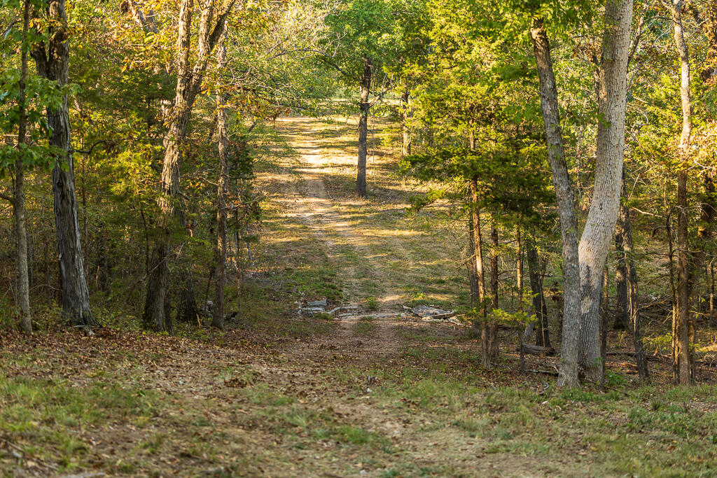 Tbd Highway 13 Property Photo 20