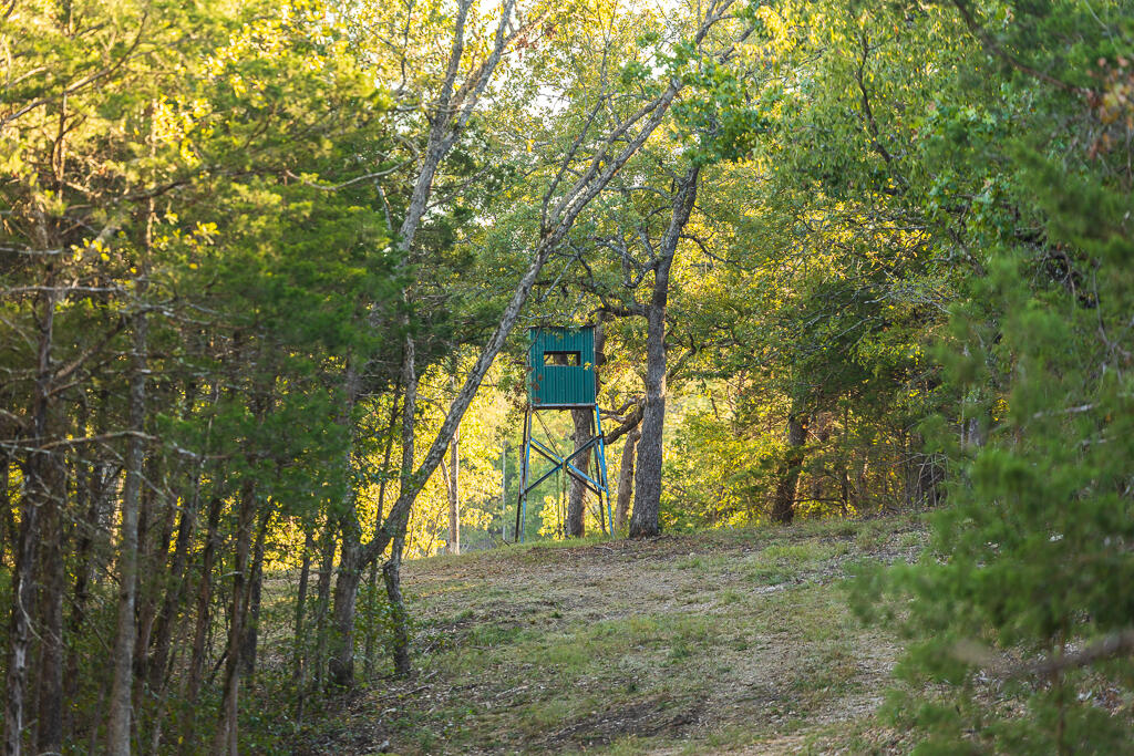 Tbd Highway 13 Property Photo 22