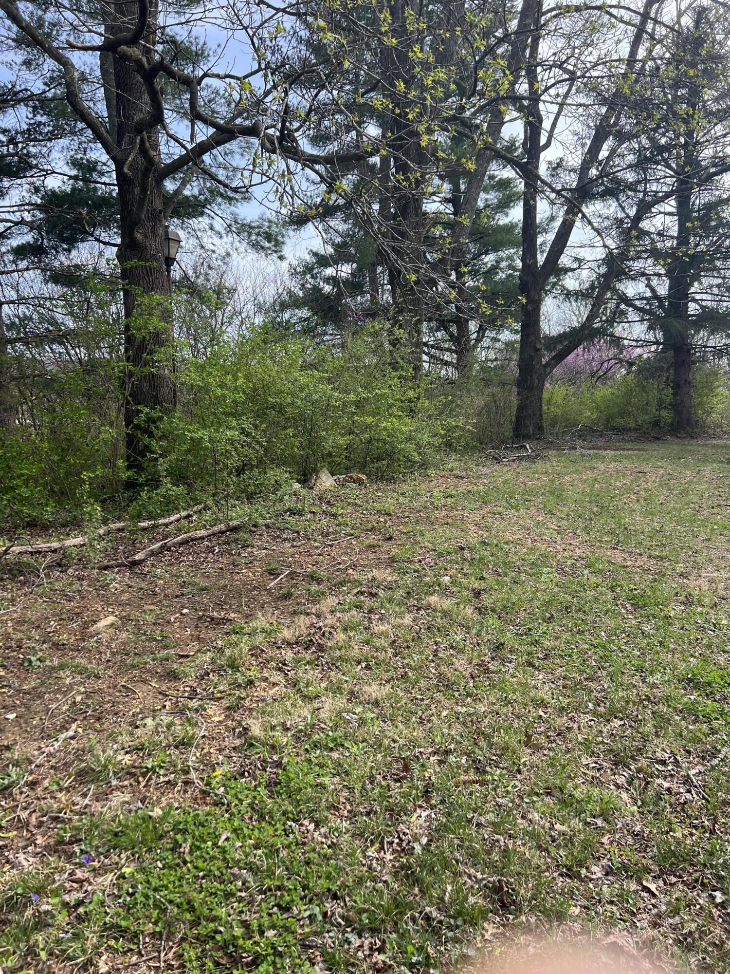 1310 Parker Avenue Property Photo 4