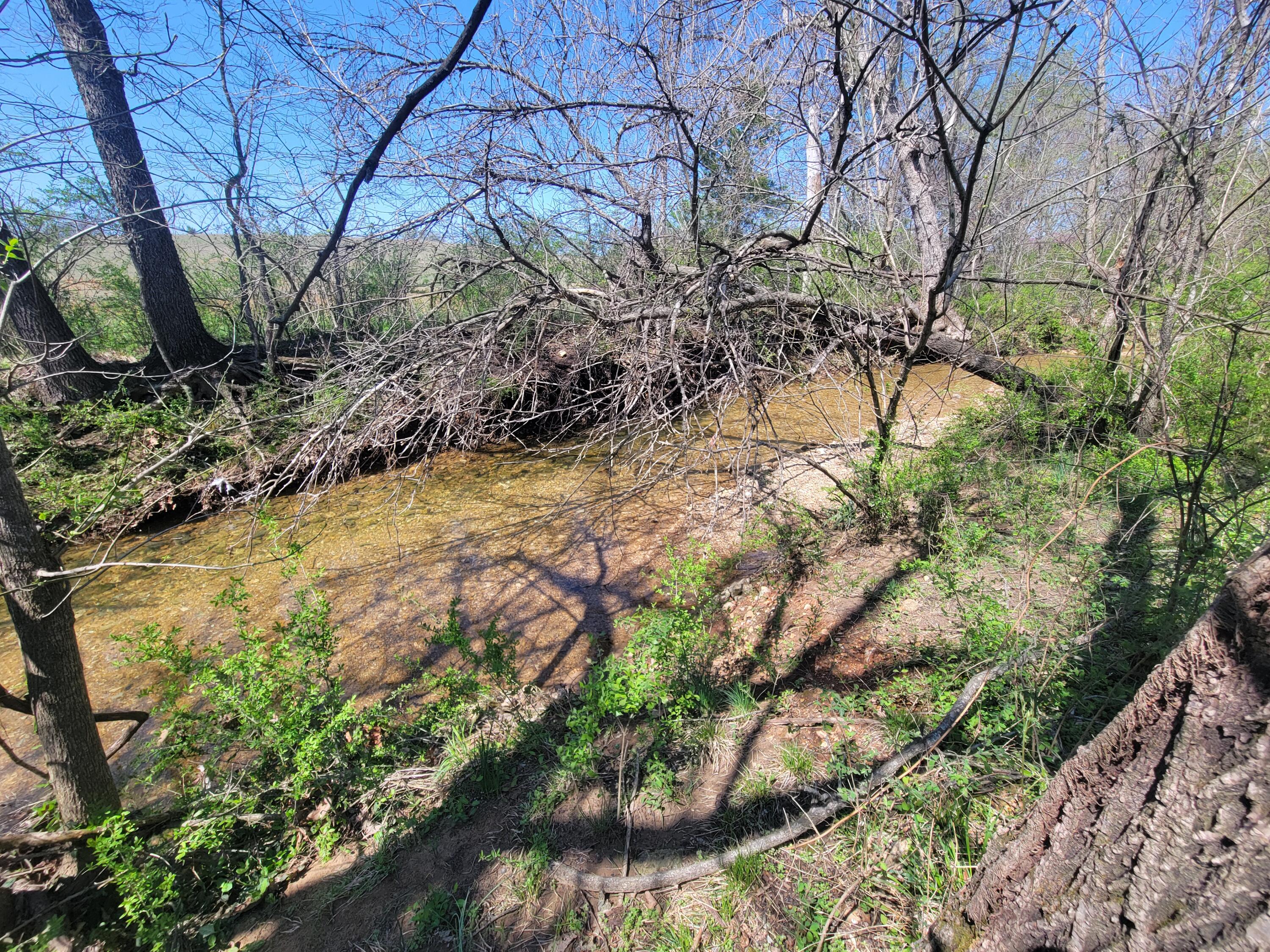 1102 Golf Course Rd Property Photo 15