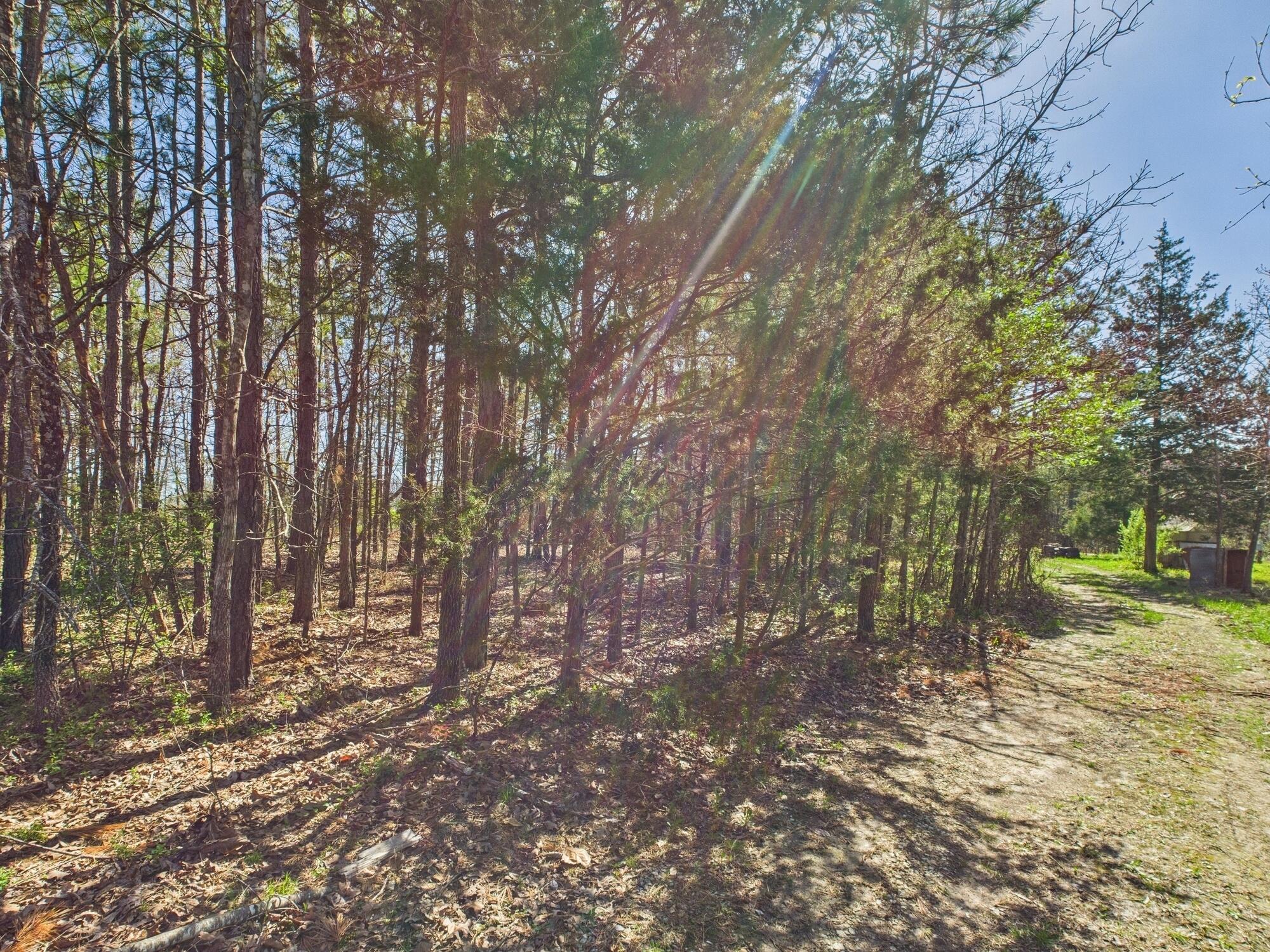 22600 Birchen Road Property Photo 16