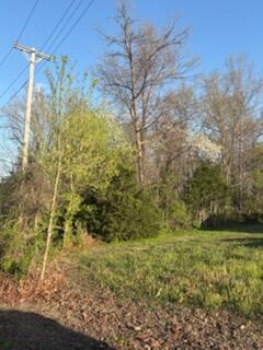 Tbd South Street Property Photo 3