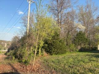 Tbd South Street Property Photo 5