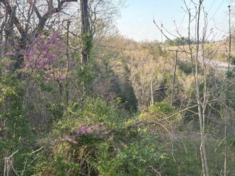Tbd South Street Property Photo 7