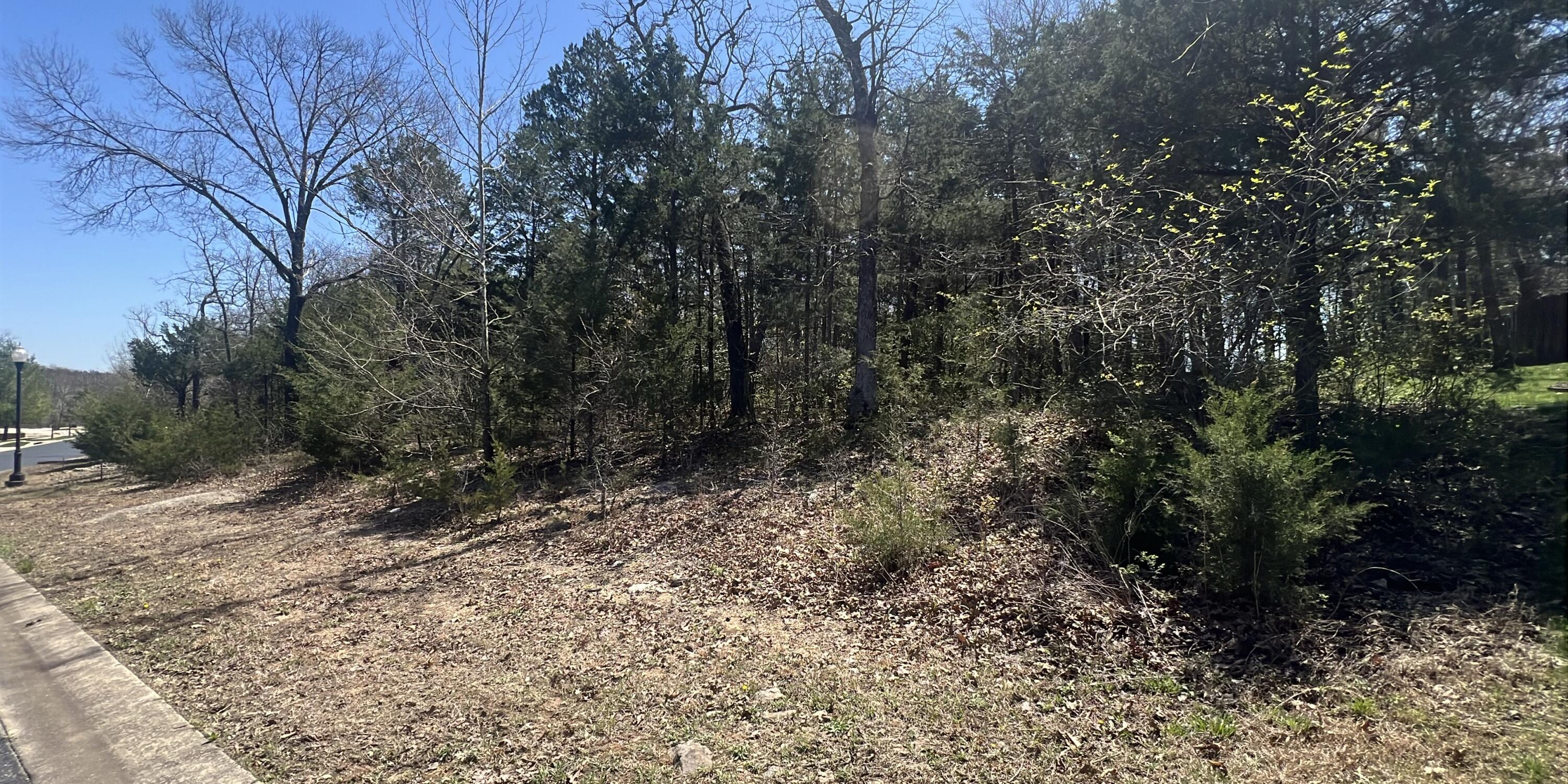 Lot 42 Olympic Drive Drive Property Photo 1