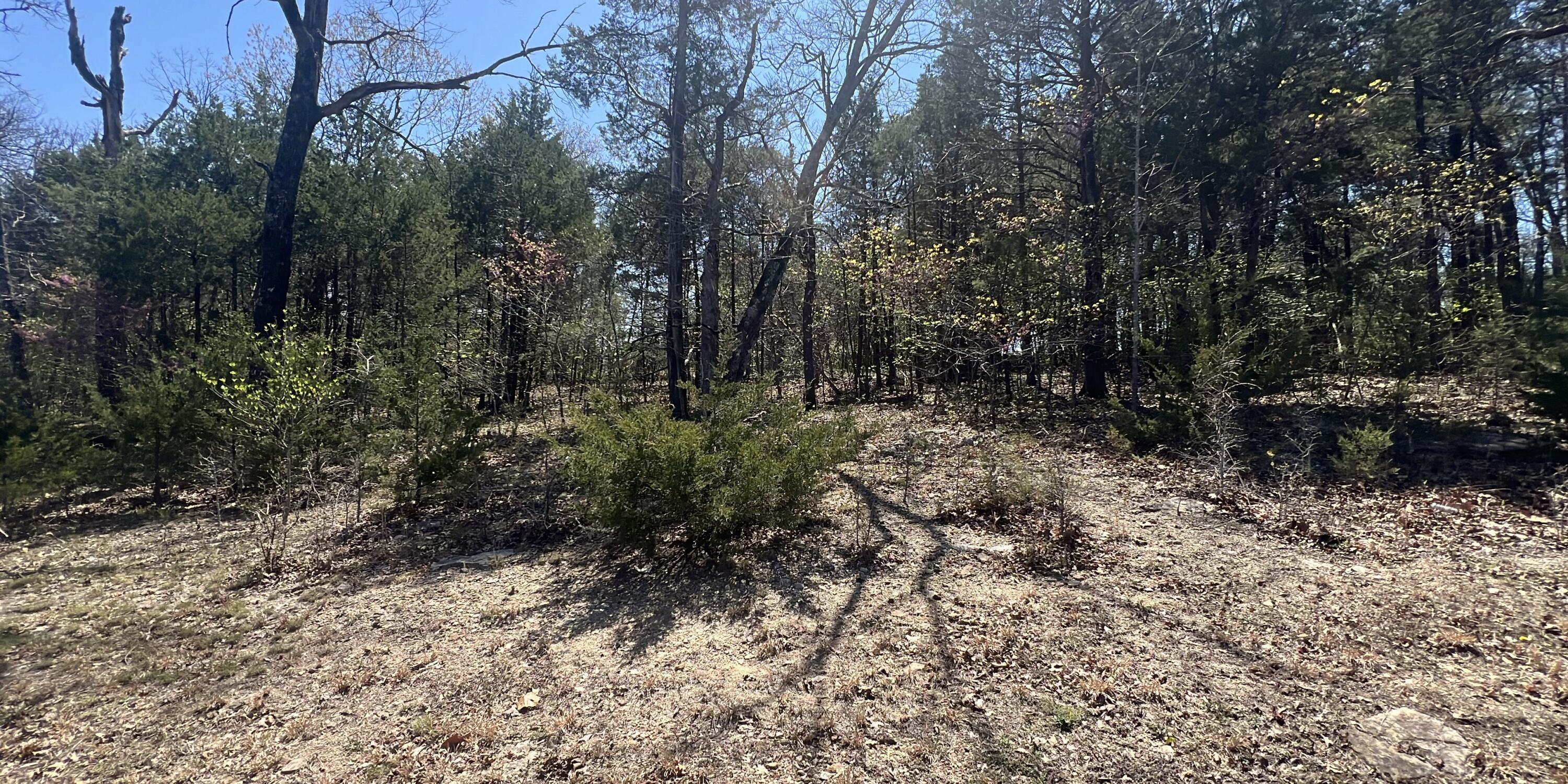 Lot 42 Olympic Drive Drive Property Photo 2