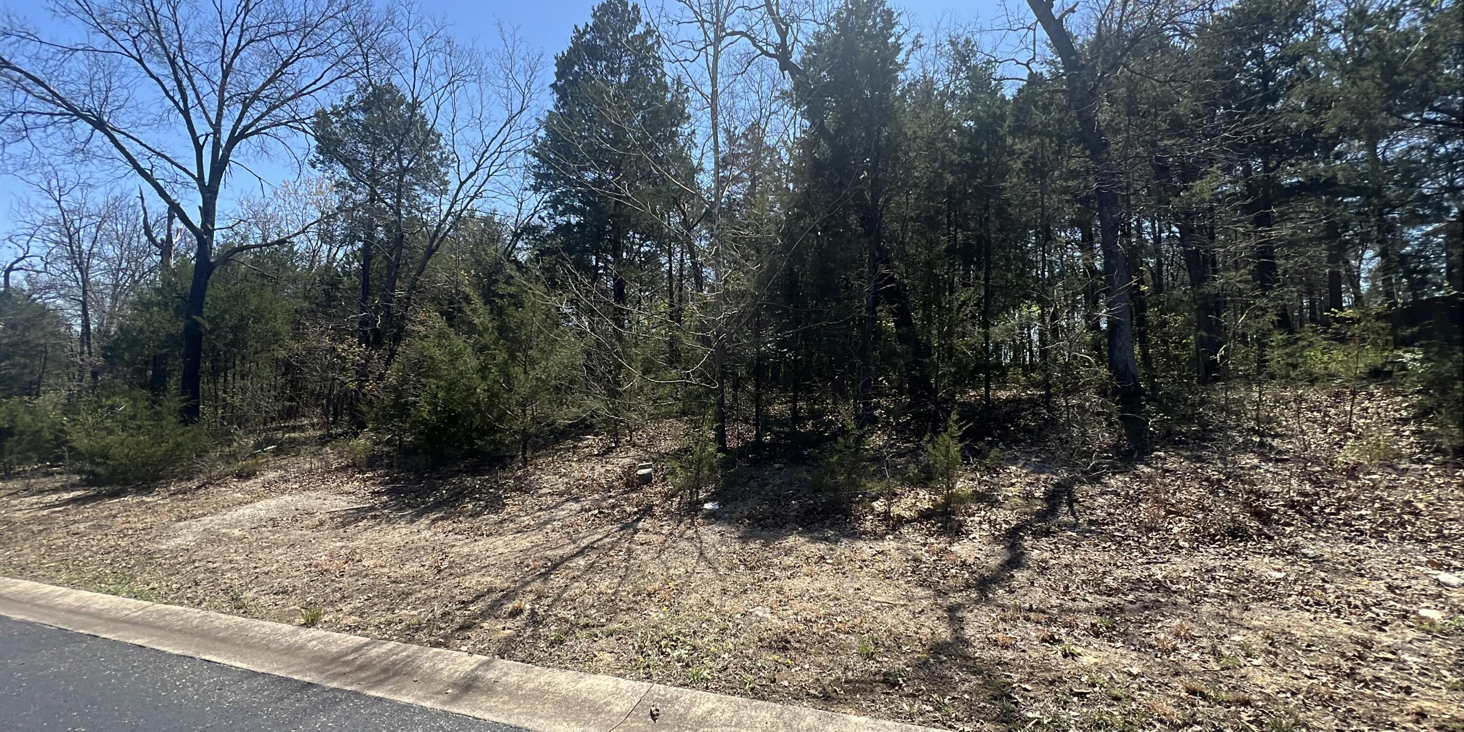 Lot 42 Olympic Drive Drive Property Photo 3
