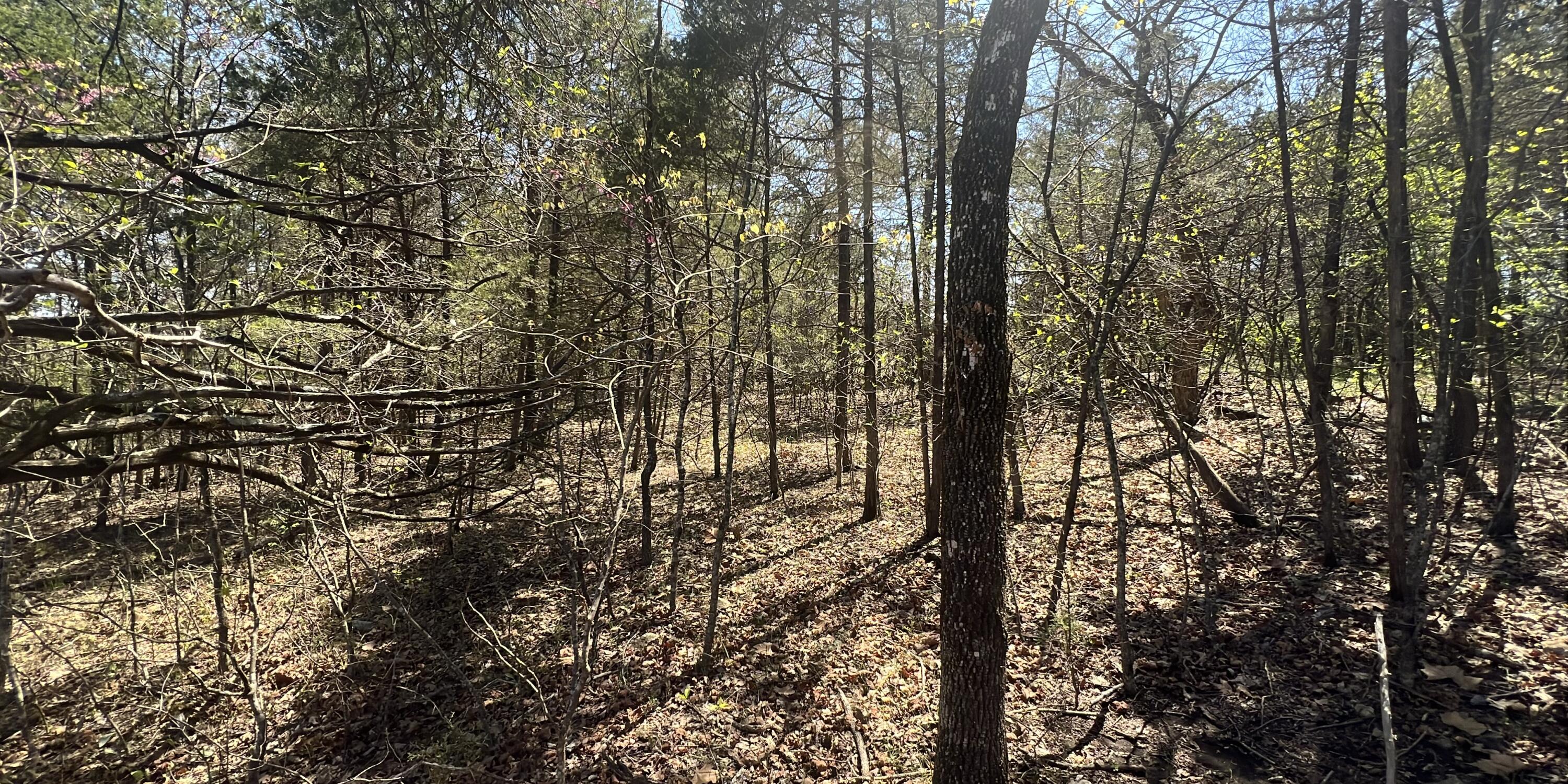 Lot 42 Olympic Drive Drive Property Photo 7