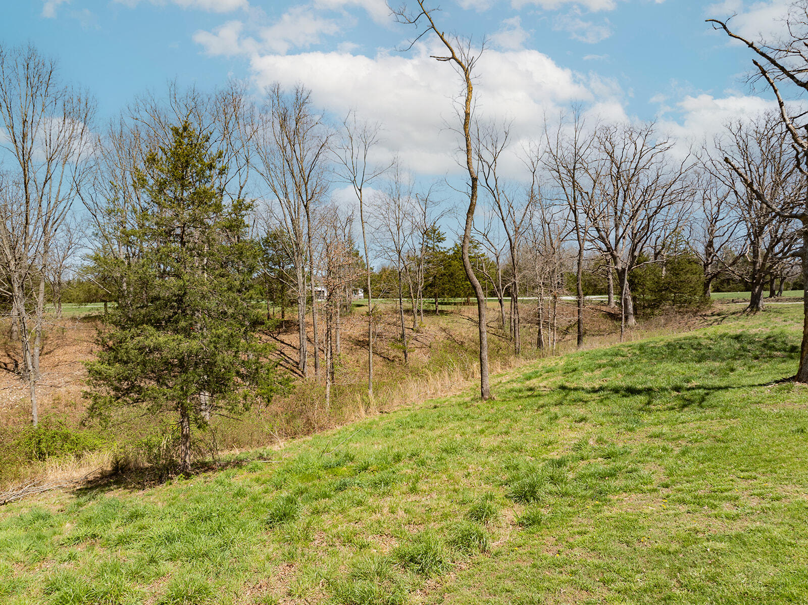 450 Wyldewood Ridge Property Photo 72